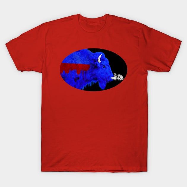 Lets Go Buffalo Bills! T-Shirt by acurwin